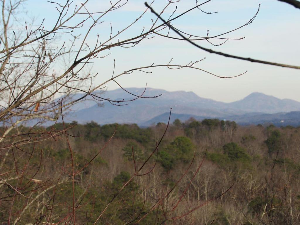 View! Cozy, Private, Fireplace, Hot Tub Log Cabin, Honeymoon! Sevierville Ngoại thất bức ảnh