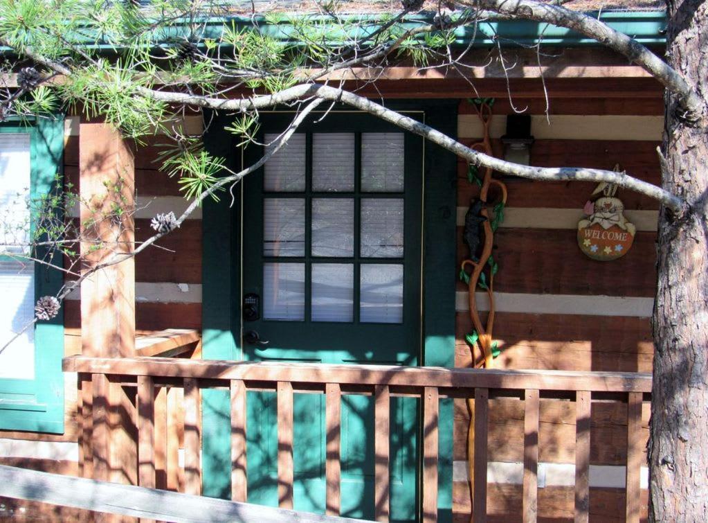 View! Cozy, Private, Fireplace, Hot Tub Log Cabin, Honeymoon! Sevierville Ngoại thất bức ảnh